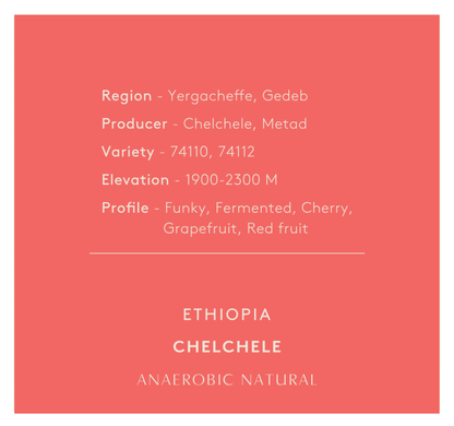 חדש! | אתיופיה צ'לצ'לה | ארומה וטעמים מתוקים | פירות טרופיים | עיבוד נטורל אנארובי | קליה בהירה
