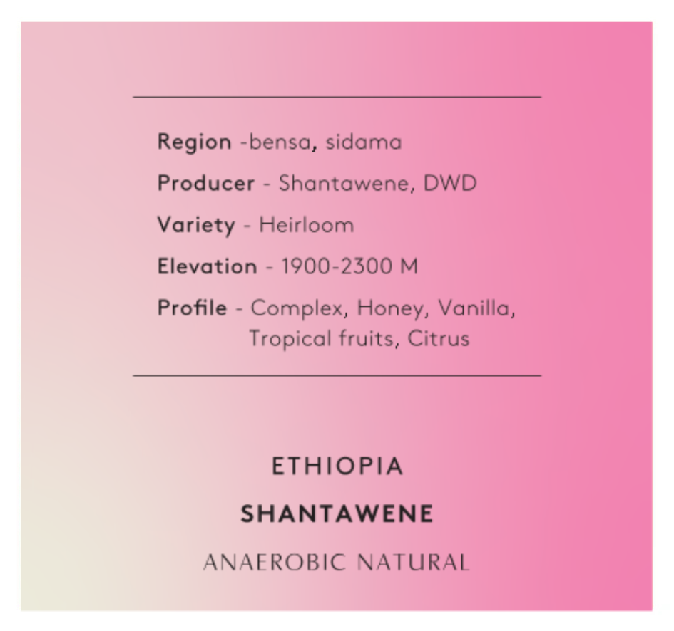 חדש | אתיופיה שנטוונה | ארומה מתוקה ופרחונית | עיבוד נטורל אנארובי | קליה בהירה