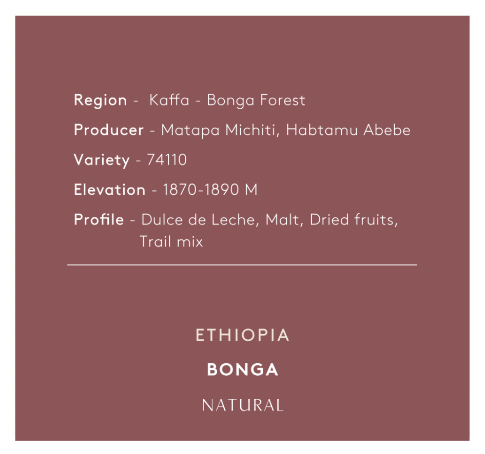 חדש! | אתיופיה בונגה | גוף מלא | פירותיות טובה | ריבת חלב | עיבוד נטורל.
