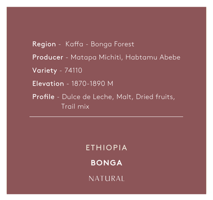 חדש! | אתיופיה בונגה | גוף מלא | פירותיות טובה | ריבת חלב | עיבוד נטורל.